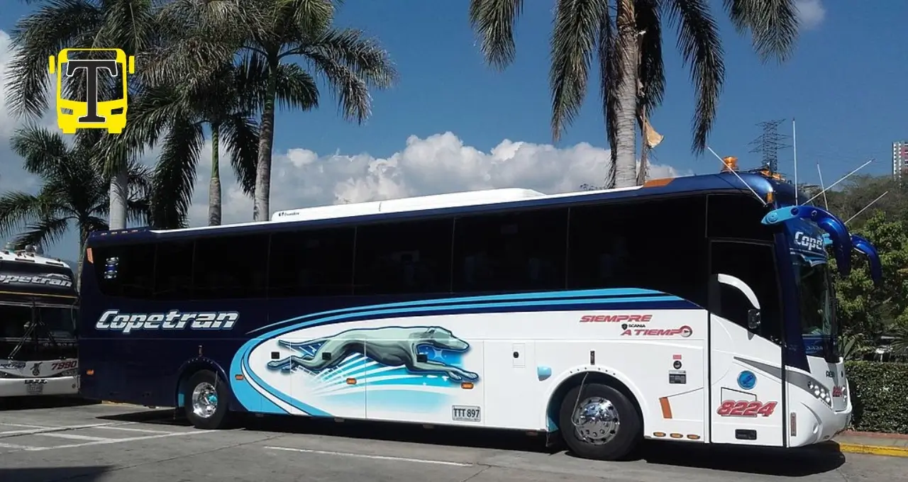 Foto de bus de Copetran en Bucaramanga